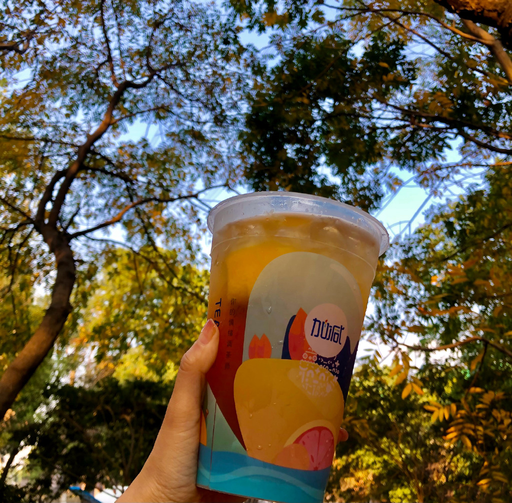尊龙中国
