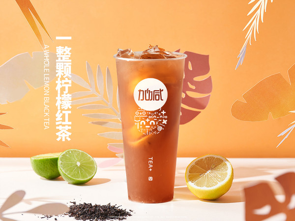 尊龙中国