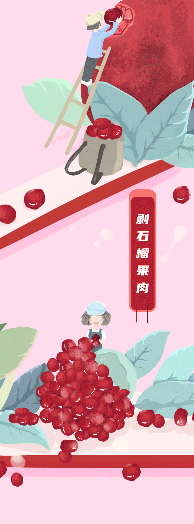 尊龙中国石榴新品