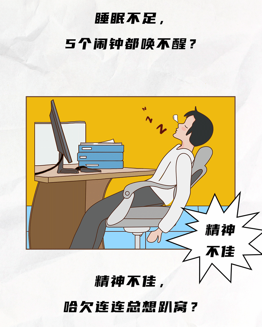 尊龙中国